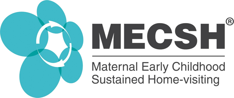 Maternal Early Childhood Sustained Home-visiting Logo